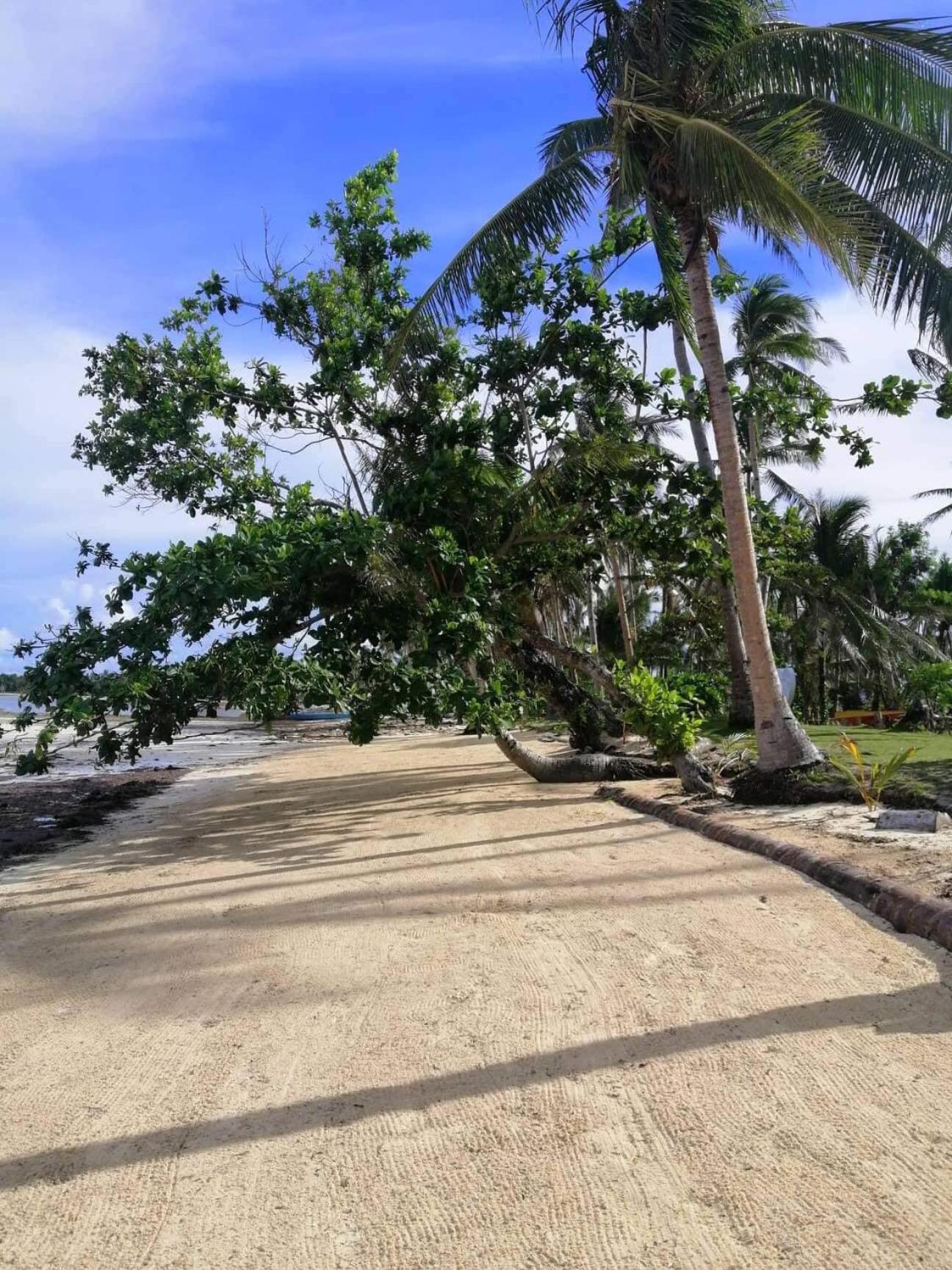 EPBliss Villas Resort Siargao General Luna  Exterior foto